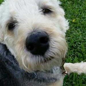 Meet your Posher, Pamela